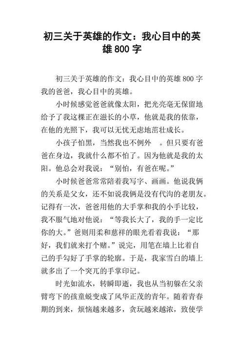 我心目中的英雄350字作文