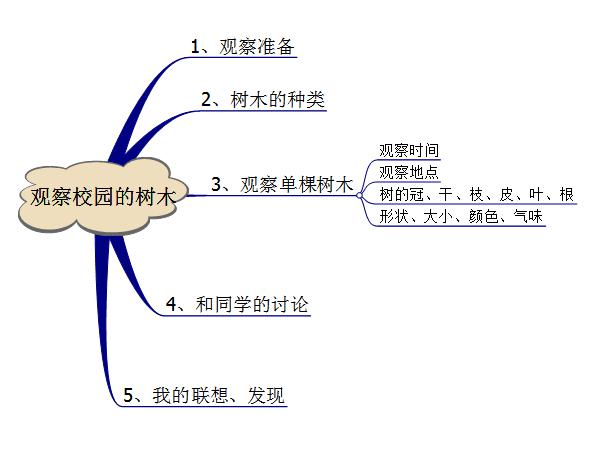 树木原来这么有趣 | 学科作文练写手册 科学作文 校园的树木 1