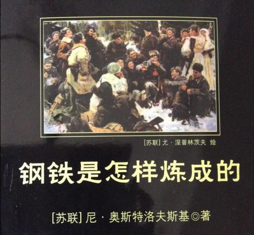 读钢铁是怎样炼成的有感800字