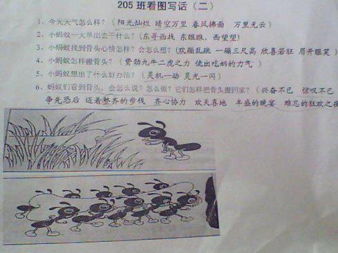 牡丹图-看图写话400字