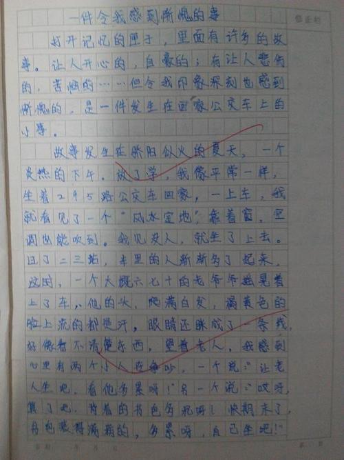 我不应该这样做-难忘的经历作文500字