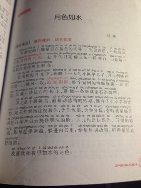 日记（2）_300字