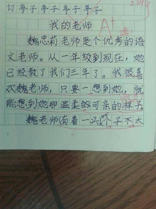 我尊重老师_500字