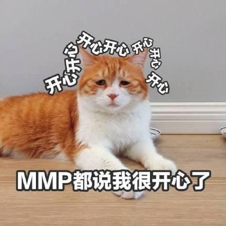 祖母的小猫_250字